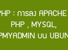 php mysql ubuntu